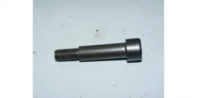 Винт специальный