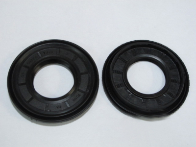 САЛЬНИК БАКА